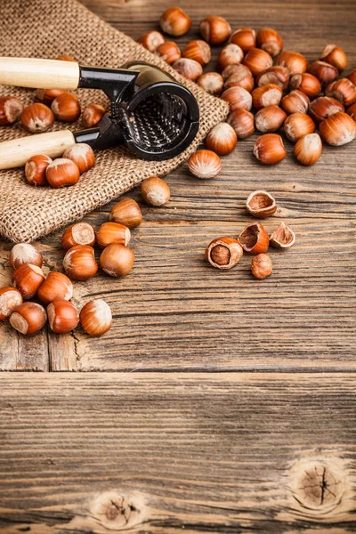 Hazelnuts — Stock fotografie