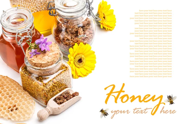 Producten van de bijenteelt — Stockfoto
