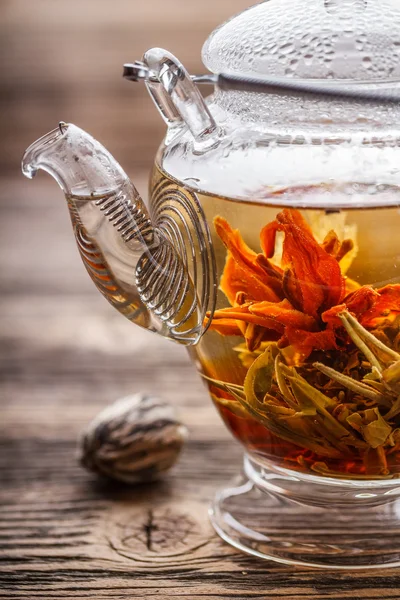 Té floreciente — Foto de Stock