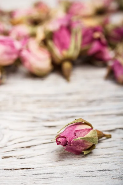 Сушені троянди нирки — стокове фото