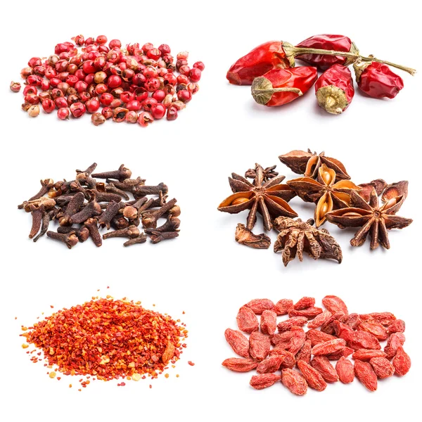 Collection of spices — Stock Photo, Image