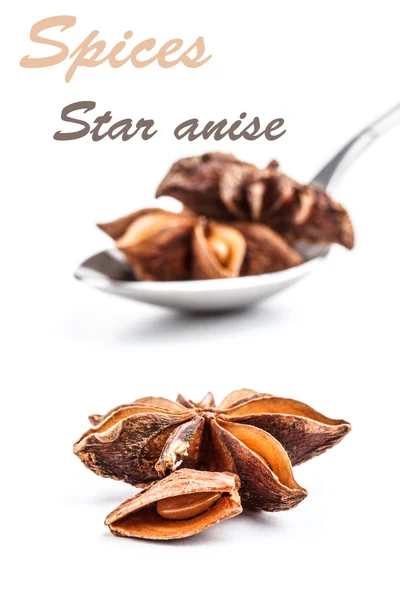 Star anise — Stock Photo, Image