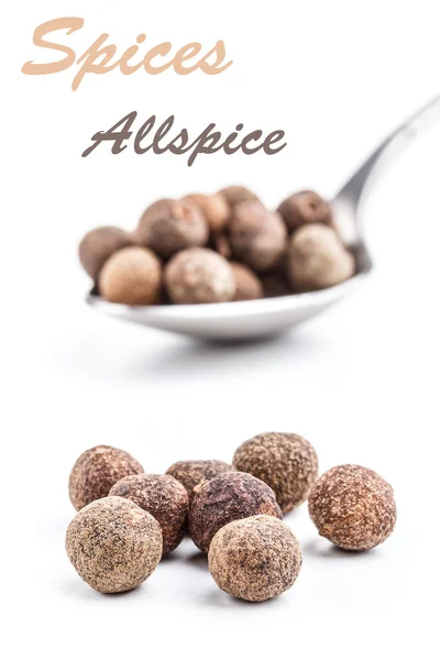 Allspice — Stock Photo, Image