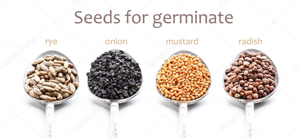 Seeds for germination