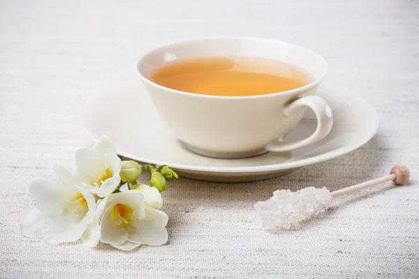 Taza de té — Foto de Stock