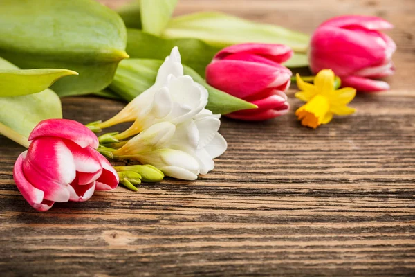 Flores de primavera — Fotografia de Stock