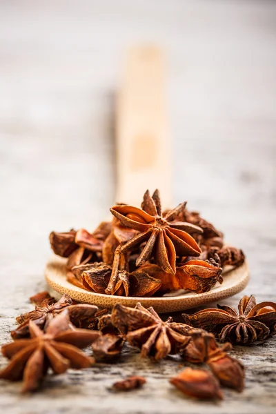 Star anise — Stock Photo, Image