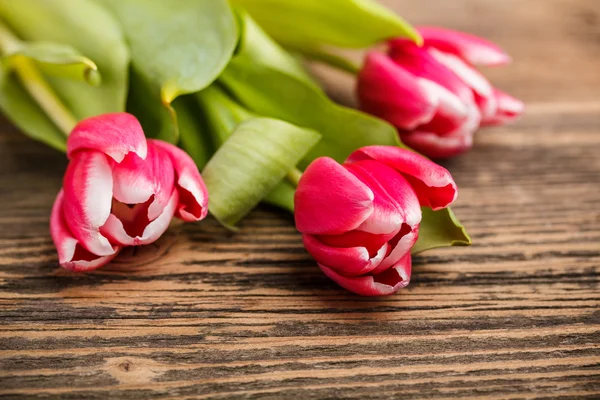 Ramo de tulipanes rojos — Foto de Stock