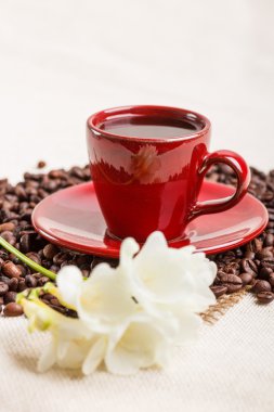 Kahve fincanı