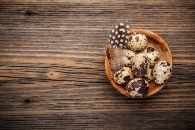 bıldırcın yumurtası