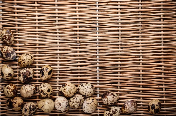 Quail eggs — Stock Photo, Image