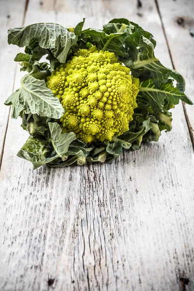 Brócolos românicos — Fotografia de Stock
