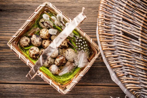 Huevos de codorniz — Foto de Stock