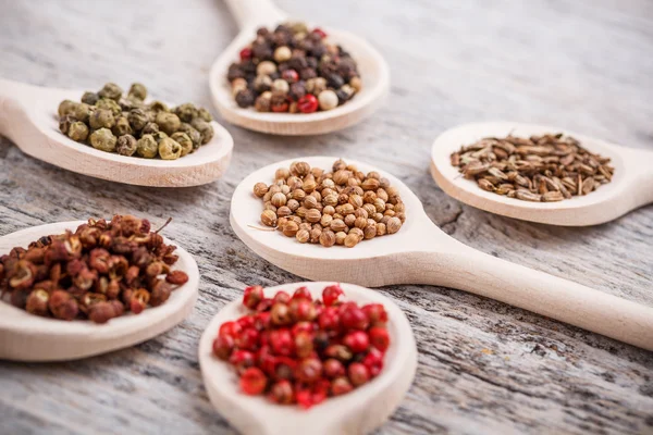 Spices — Stock Photo, Image