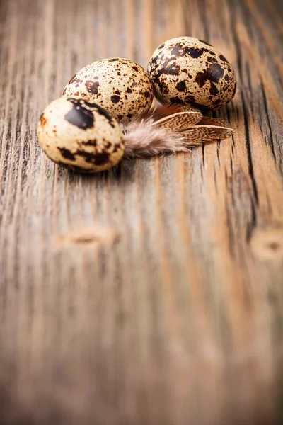 Três ovos de codorna — Fotografia de Stock