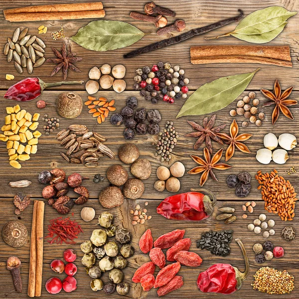 Various spices — Stock Photo, Image