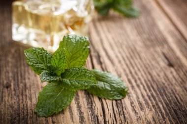 Taze nane yaprakları