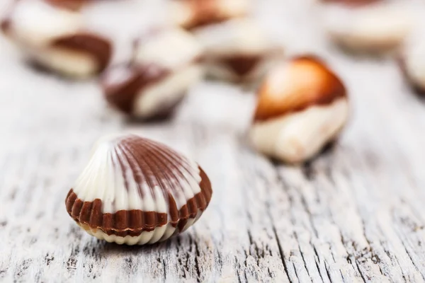 Çikolata deniz kabuklarını — Stok fotoğraf