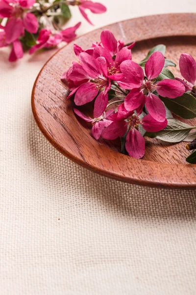 Pink fruit-tree flowers — Stock Photo, Image