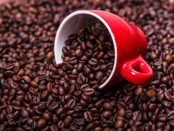 Kaffe — Stockfoto