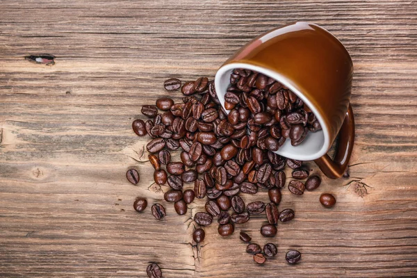 Coffee beans — Stock Photo, Image