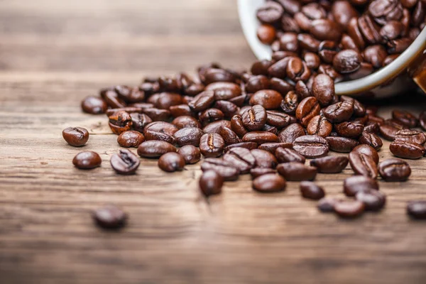 Coffee beans — Stock Photo, Image