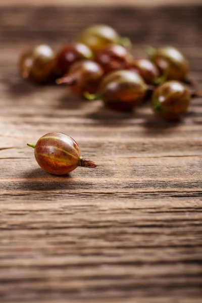 Frische Stachelbeeren — Stockfoto