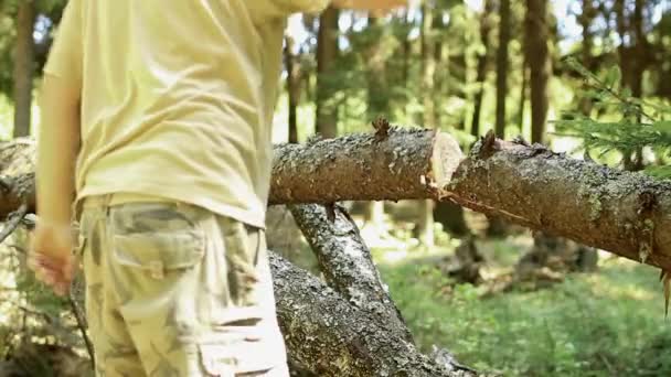 Woodcutter at work — Stock Video
