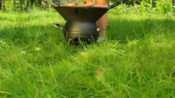 Garçon faisant une fête barbecue — Video