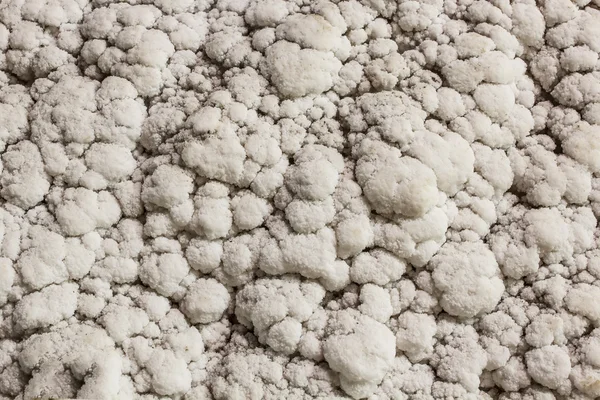 Salt på vägg — Stockfoto