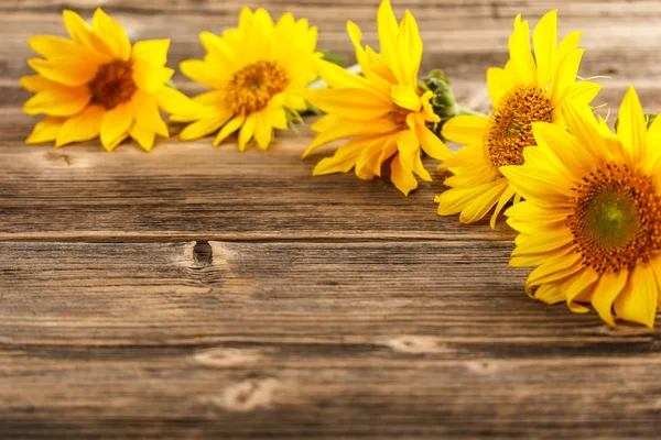 Gelbe Sonnenblumen — Stockfoto