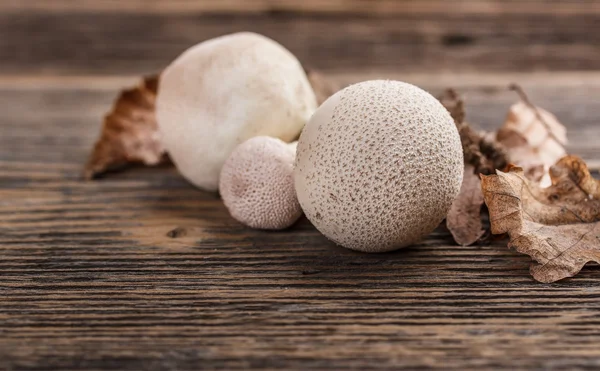 Boule de poche commune Photo De Stock