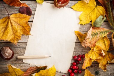 Sonbahar Yaprakları