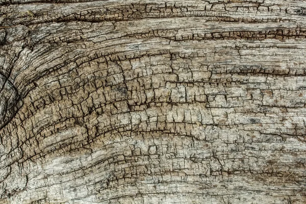 Старі текстури деревини — стокове фото