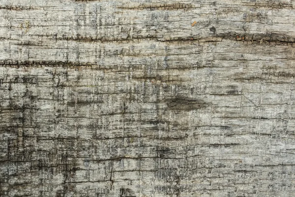 Παλιά ξύλινη σανίδα — Φωτογραφία Αρχείου