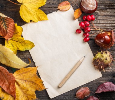 Sonbahar Yaprakları