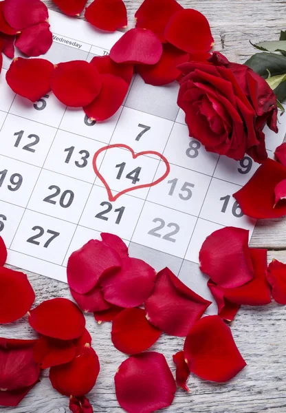 Rose rouge sur le calendrier — Photo