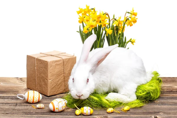 Easter decoration — Stock Photo, Image