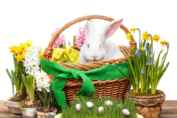 Easter decoration — Stock Photo, Image