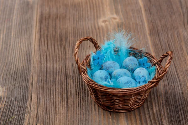 Huevos azules de codorniz — Foto de Stock