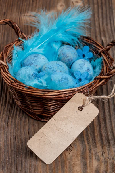 Huevos azules de codorniz Imágenes De Stock Sin Royalties Gratis