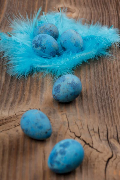 Easter blue eggs — Stock Photo, Image