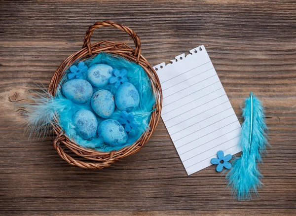 Blue quail eggs — Stock Photo, Image