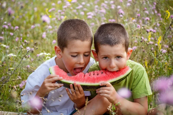 Boys eating watermelon — Stock Photo, Image