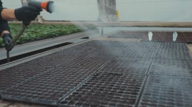 Seradaki sulama hortumundan toprağı sulayan işçiler, ekim için toprağı hazırlıyorlar, 4k video..