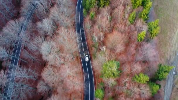 Carro Dirigindo Estrada País Inverno Dia Nevado Vista Aérea Drone — Vídeo de Stock