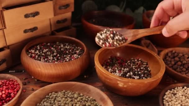 Mixed Multicolored Peppercorns Wooden Bowls Various Peppers Concept — Stock Video