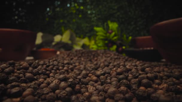 Dried Black Peppercorns Dry Aromatic Black Pepper Seeds — Stock Video