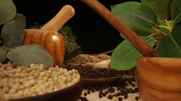 Various Types Dry Peppercorns Wooden Bowls Seasonings Condiments Concept — Stockvideo