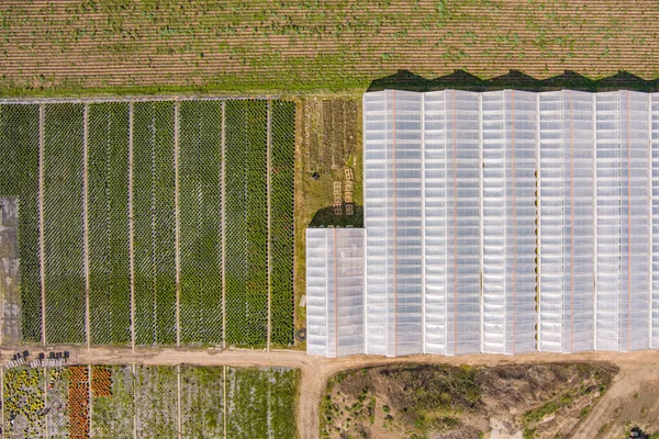 Üvegházak Mezőgazdasági Növénytermesztés Légi Rálátása — Stock Fotó